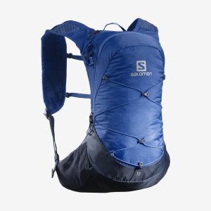 Pánské Běžecké balíčky Salomon Xt 10 Blankyt Indigo | 248195NGL